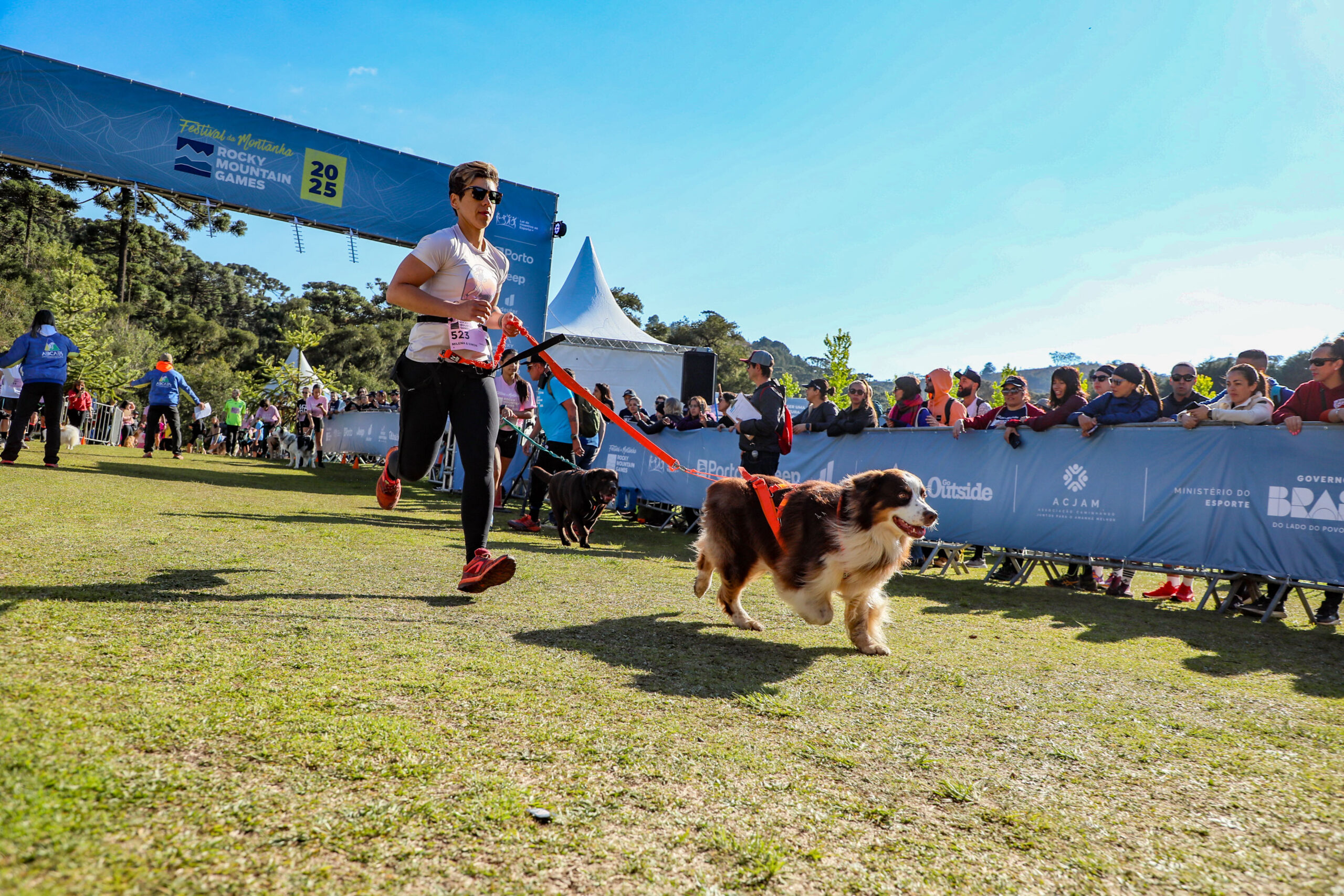 Canicross para iniciantes: tudo o que você precisa saber antes de começar