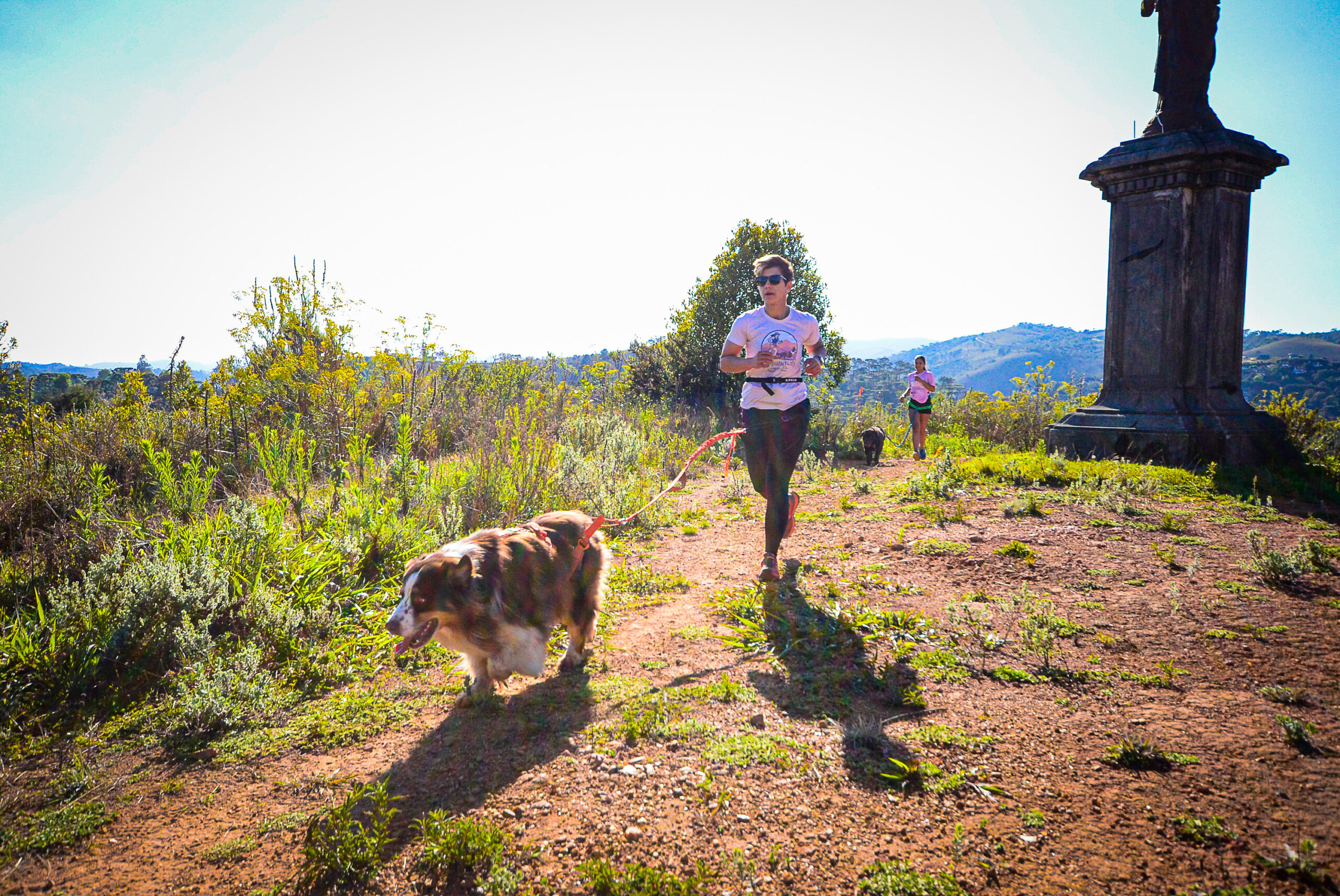 Exercício físico e comportamento: como o movimento influencia o equilíbrio emocional do seu cão