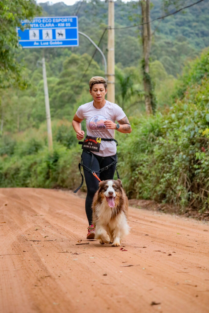 Entenda o que o corpo do cão precisa desenvolver antes de começar no canicross e como preparar seu parceiro de forma segura e responsável.
