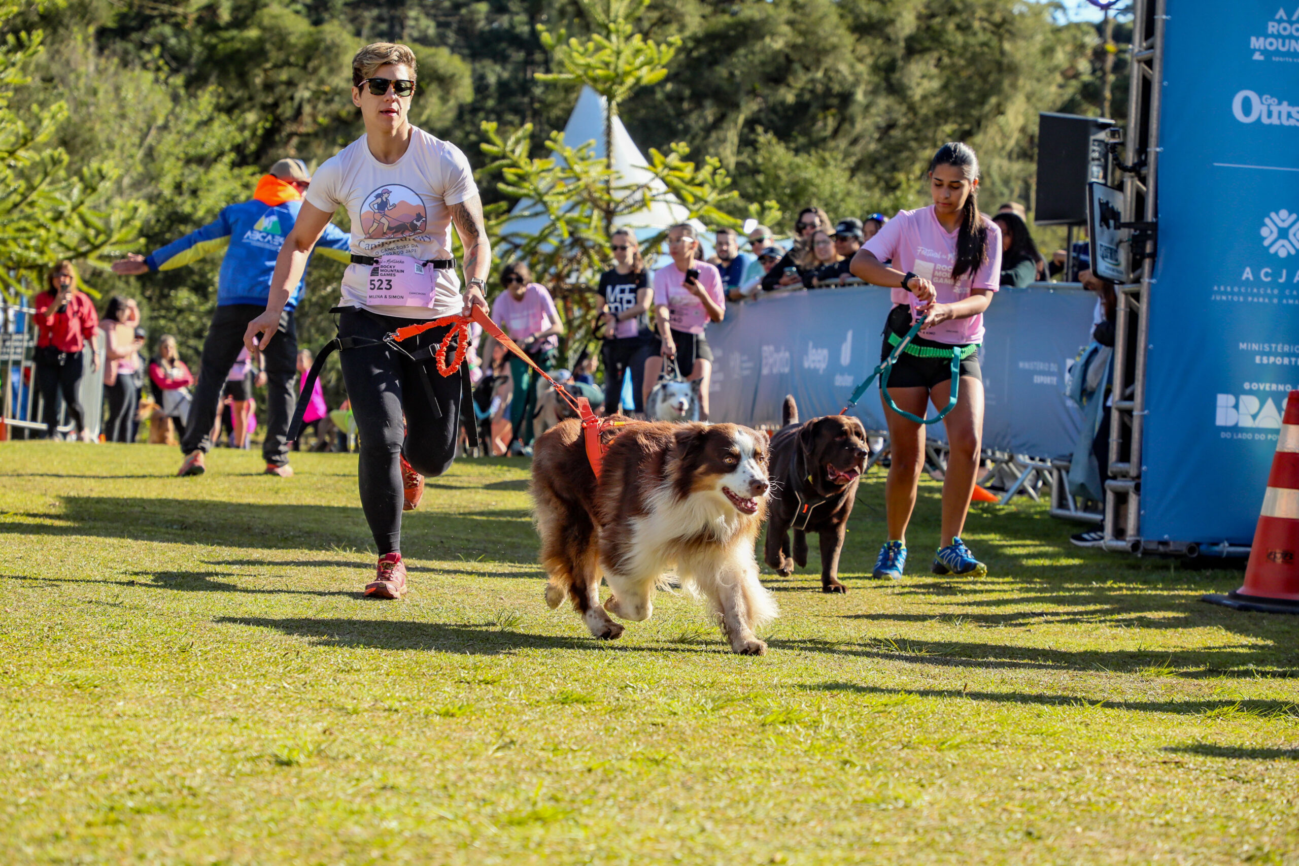 O que o corpo do cão precisa desenvolver antes de começar no canicross