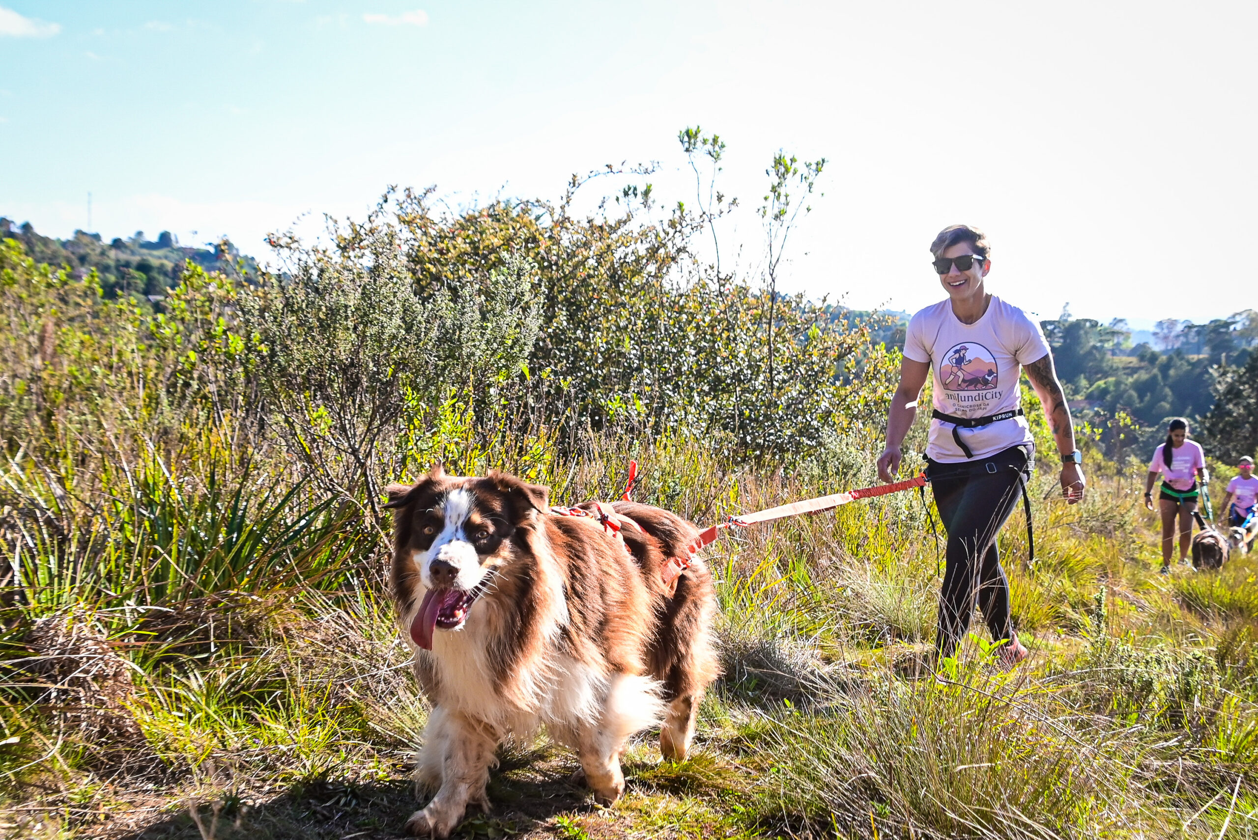 Temperatura, solo e altimetria no canicross: como escolher quando e onde treinar