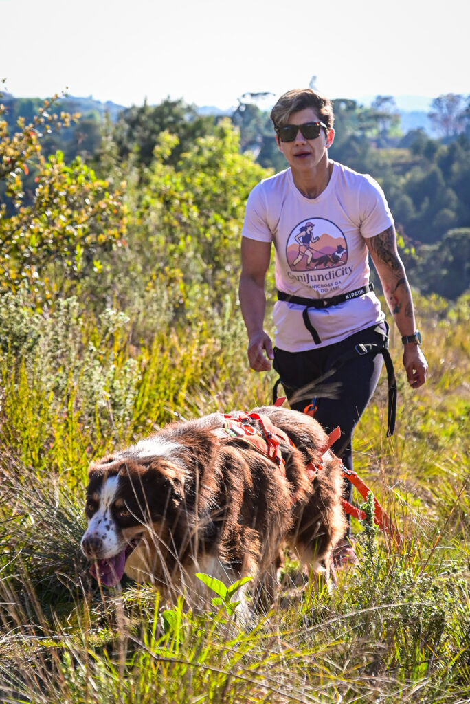 Canicross não é corrida com cachorro, exemplo de tração correta.