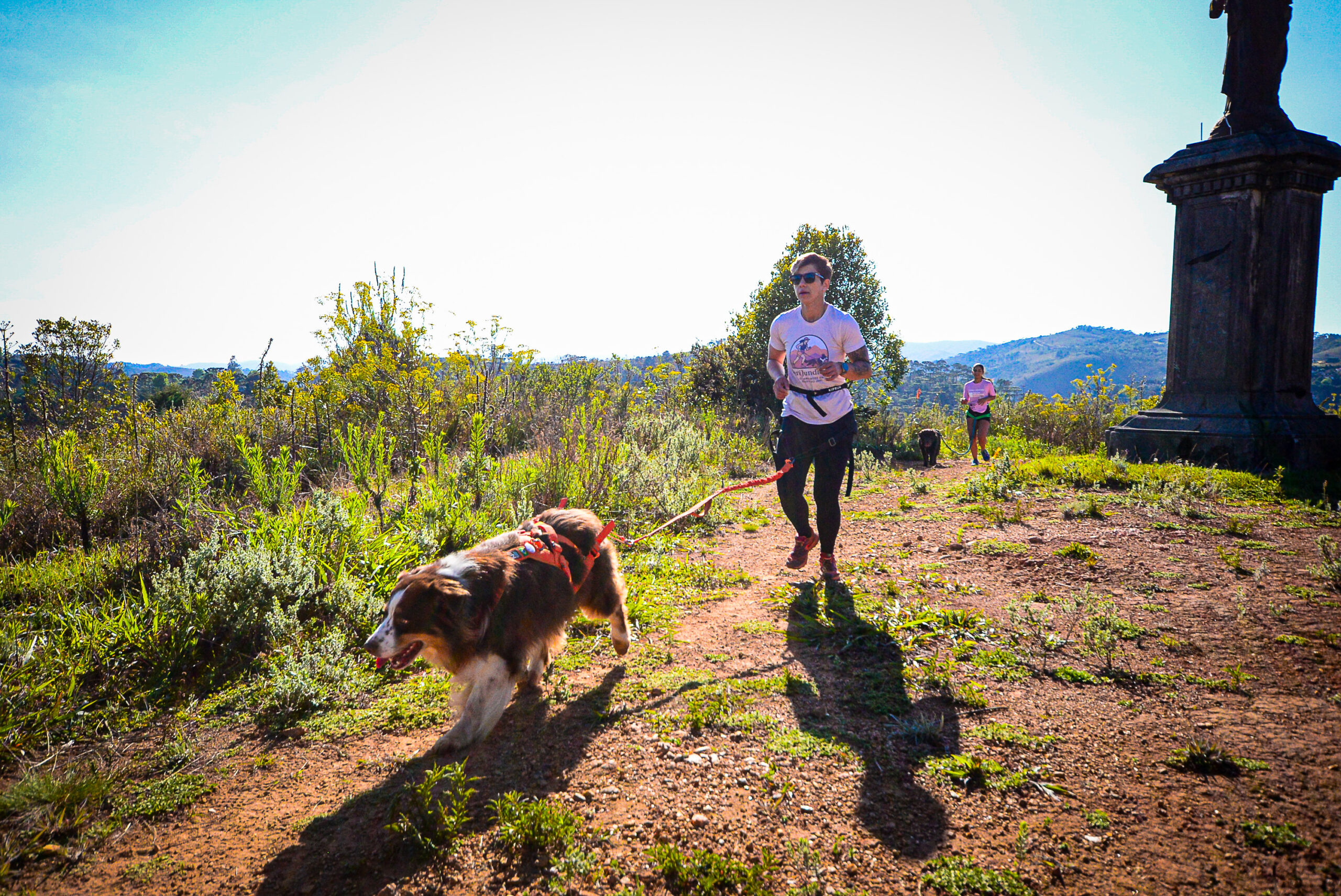 Canicross não é corrida com cachorro: o que é tração e qual é o papel do cão no esporte