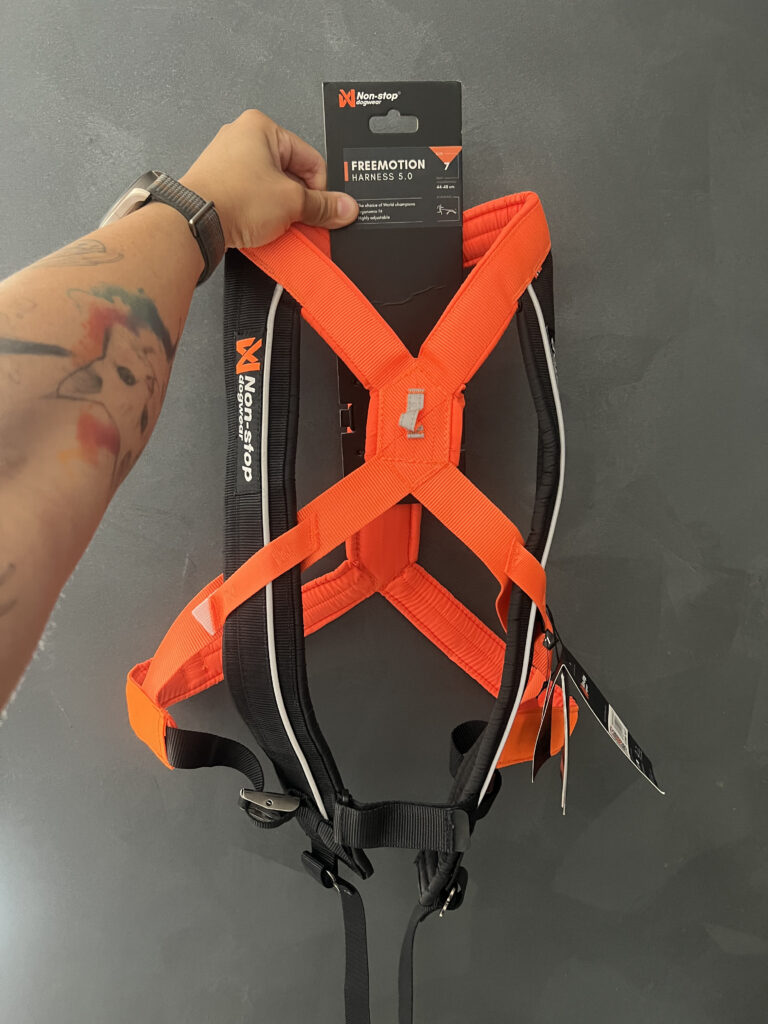 Equipamentos para canicross utilizados de forma progressiva e segura.