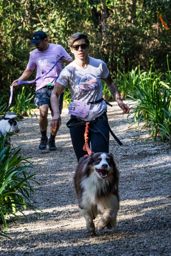 Equipamentos para canicross utilizados de forma progressiva e segura.