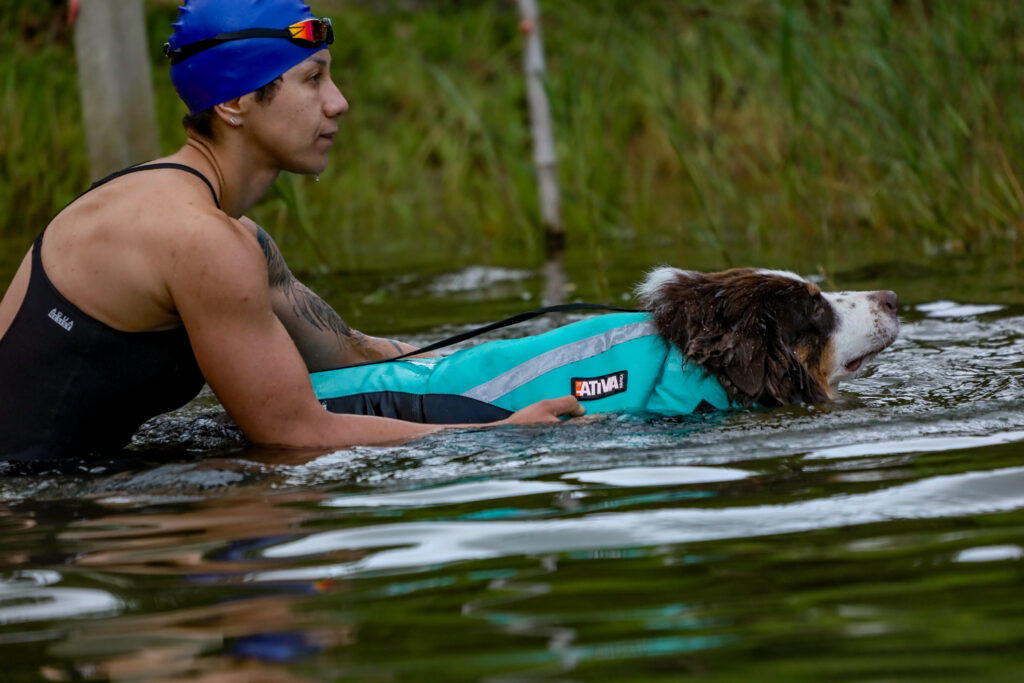 Natação para cachorro: benefícios reais para a saúde física e mental.
