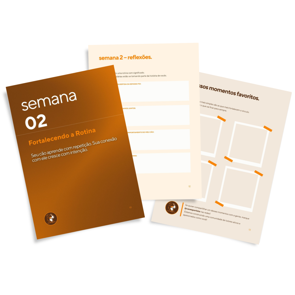 O Planner 21 Dias com Meu Cão foi criado para tutores que querem mais constância, estímulo e vínculo — mesmo com pouco tempo.
