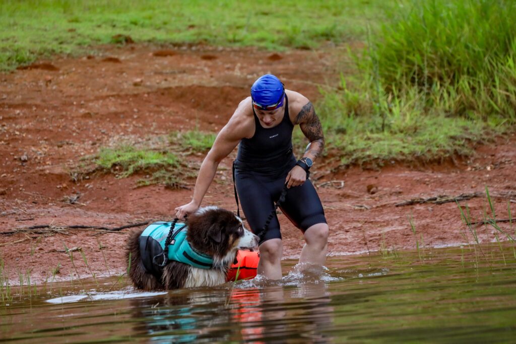 Saiba como ajudar cachorro com medo de nadar com segurança, sem trauma e respeitando o tempo do seu cão.