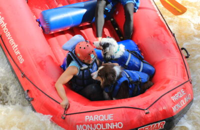 Rafting com cães: como é, o que preparar e por que o colete não é opcional